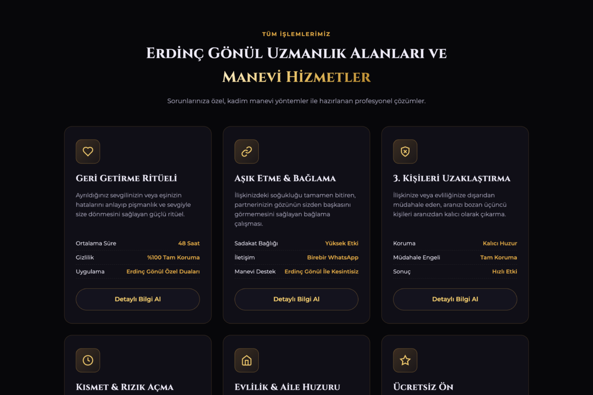 Erdinç Gönül danışmanlık web sitesi tasarımı - DetaSoft